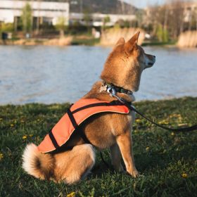 Kutya mentőmellény NAVY 0-8 kg