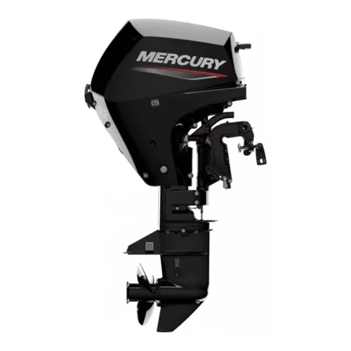 Mercury 20LE motor